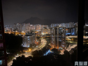 疊茵庭 2座 - 28NTS – 香港北部都會區