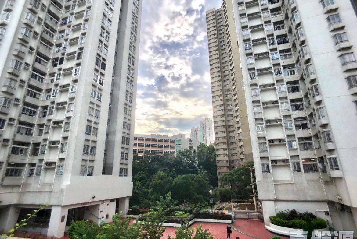 新葵興花園 A座 - 28NTS – 香港北部都會區