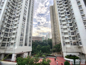 新葵興花園 A座 - 28NTS – 香港北部都會區