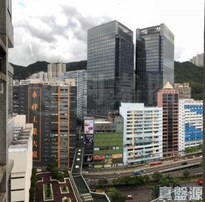 新葵興花園 B座 - 28NTS – 香港北部都會區