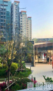 滿名山 滿庭 6座 - 28NTS – 香港北部都會區