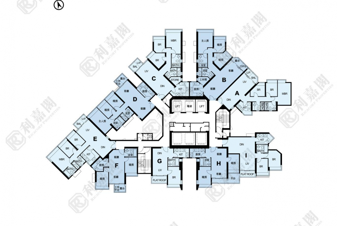 藍天海岸 3期 影岸‧紅 B座 (8座) - 28NTS – 香港北部都會區