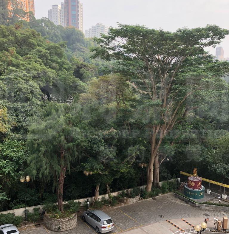 容龍居 - 28NTS – 香港北部都會區
