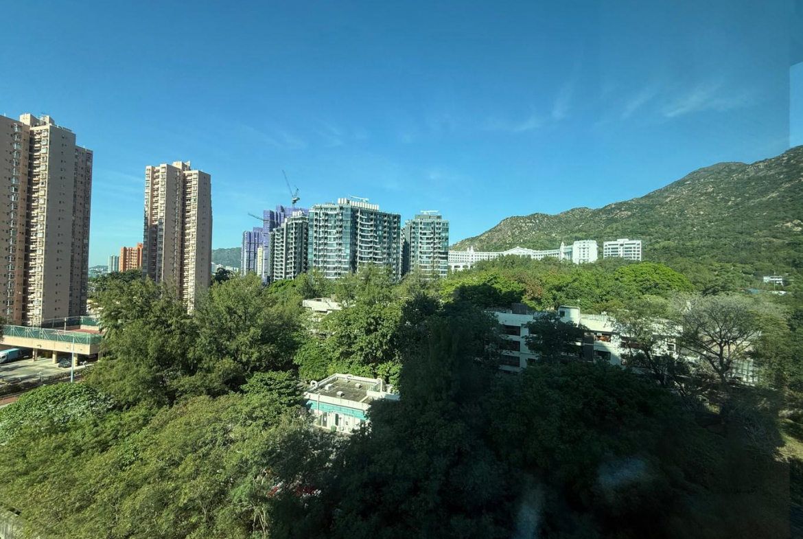 愛琴海岸 8座 - 28NTS – 香港北部都會區