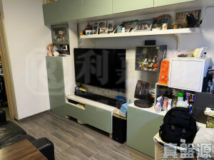 屏欣苑 B座 (屏彥閣) - 28NTS – 香港北部都會區