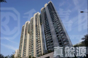 恒麗園 2座 - 28NTS – 香港北部都會區