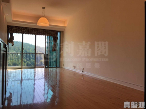 朗逸峰 1期 3座 - 28NTS – 香港北部都會區