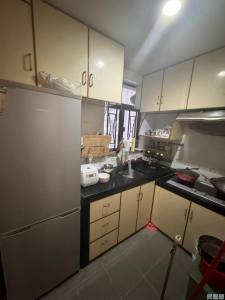 和記新邨 A座 - 28NTS – 香港北部都會區