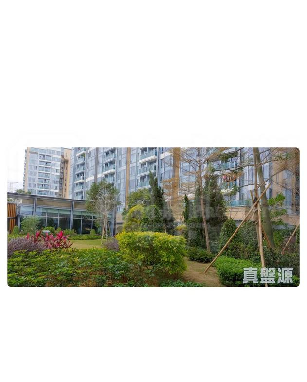 峻巒 1C期 PARK YOHO SICILIA 1B座 - 28NTS – 香港北部都會區