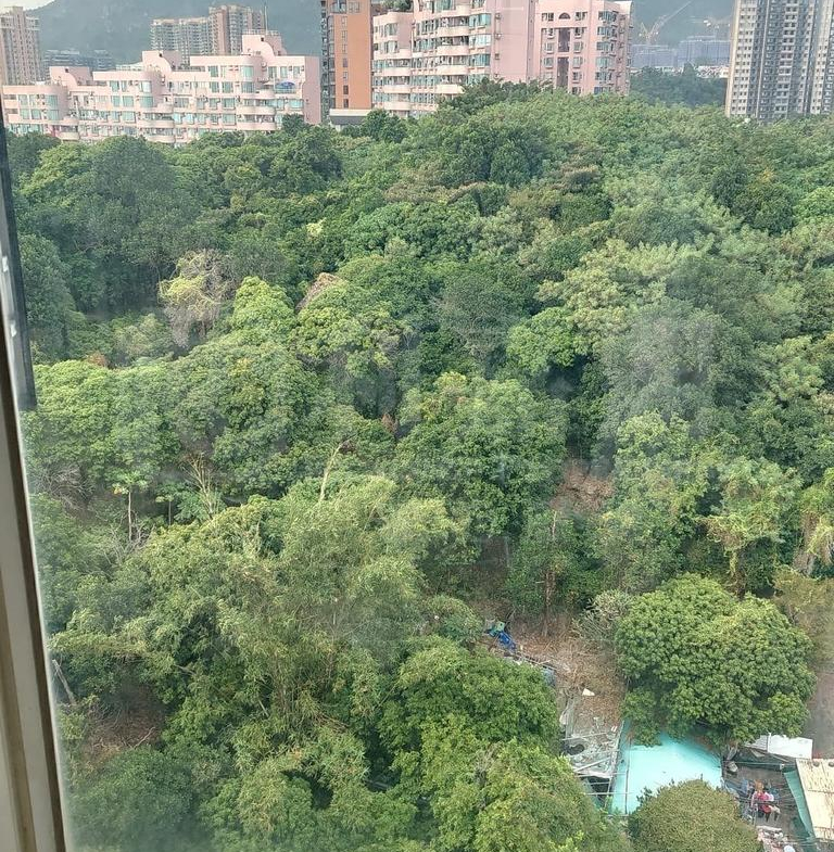 浪濤灣 6座 - 28NTS – 香港北部都會區