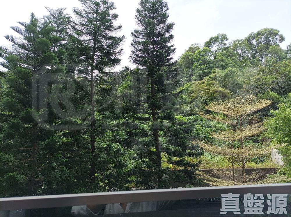 御半山 1期 1A座 - 28NTS – 香港北部都會區