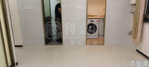 兆禧苑 雅禧閣 (D座) - 28NTS – 香港北部都會區