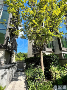 WETLAND SEASONS BAY 1期 別墅WV8 - 28NTS – 香港北部都會區