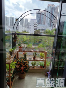 WETLAND SEASONS PARK 1期 17座 - 28NTS – 香港北部都會區