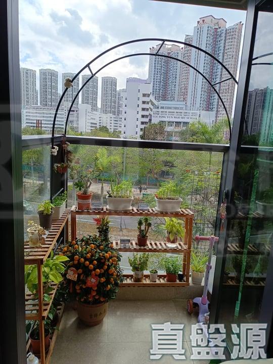 WETLAND SEASONS PARK 1期 17座 - 28NTS – 香港北部都會區