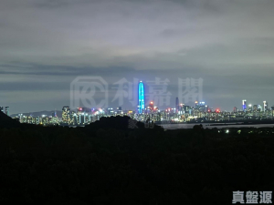 WETLAND SEASONS BAY 1期 2A座 - 28NTS – 香港北部都會區
