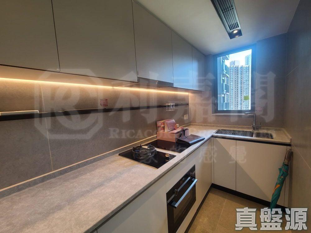 NOVO LAND 1B期 Bergen 3座 - 28NTS – 香港北部都會區