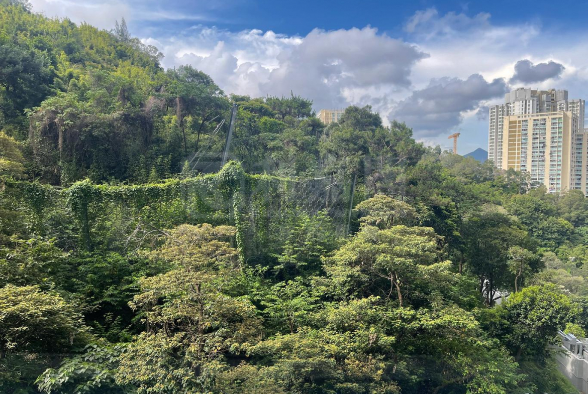 明翹匯 1座 - 28NTS – 香港北部都會區