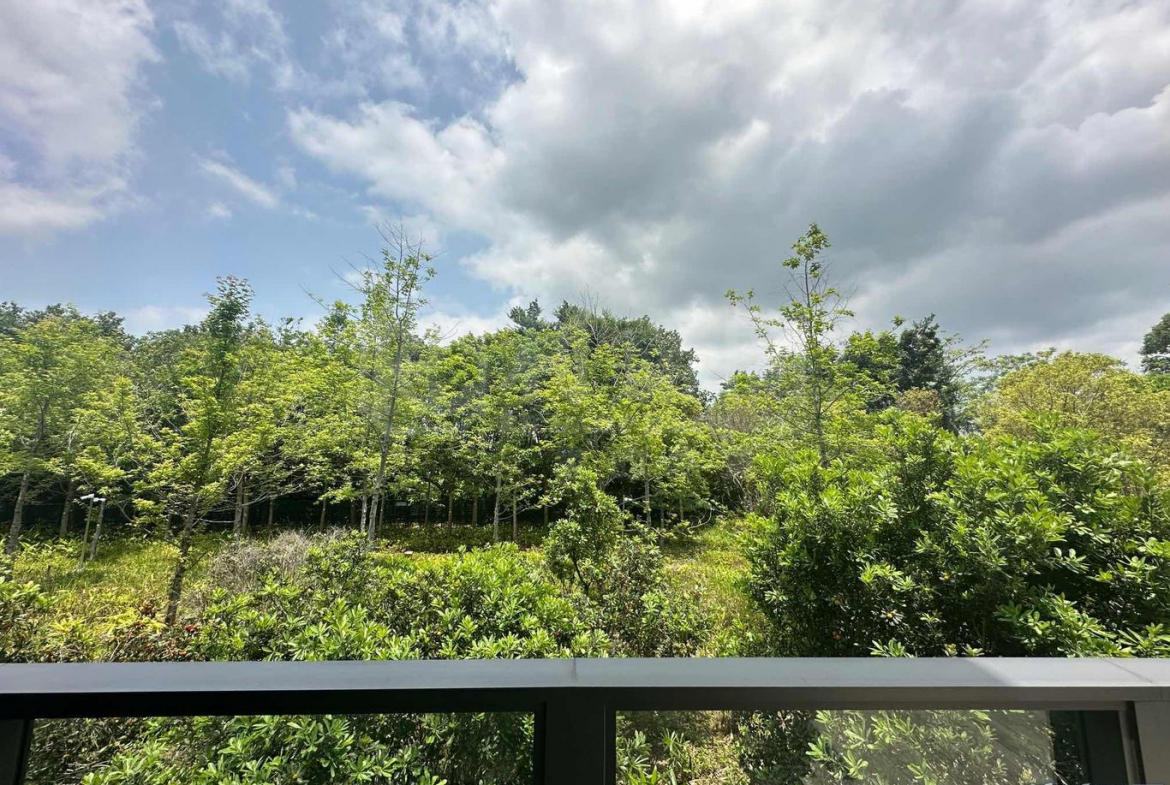 WETLAND SEASONS PARK 2期 別墅1 - 28NTS – 香港北部都會區