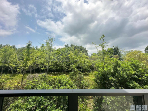 WETLAND SEASONS PARK 2期 別墅1 - 28NTS – 香港北部都會區