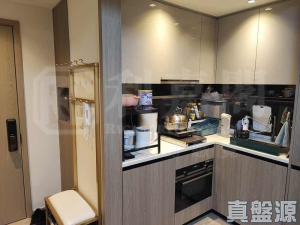 WETLAND SEASONS PARK 1期 16座 - 28NTS – 香港北部都會區