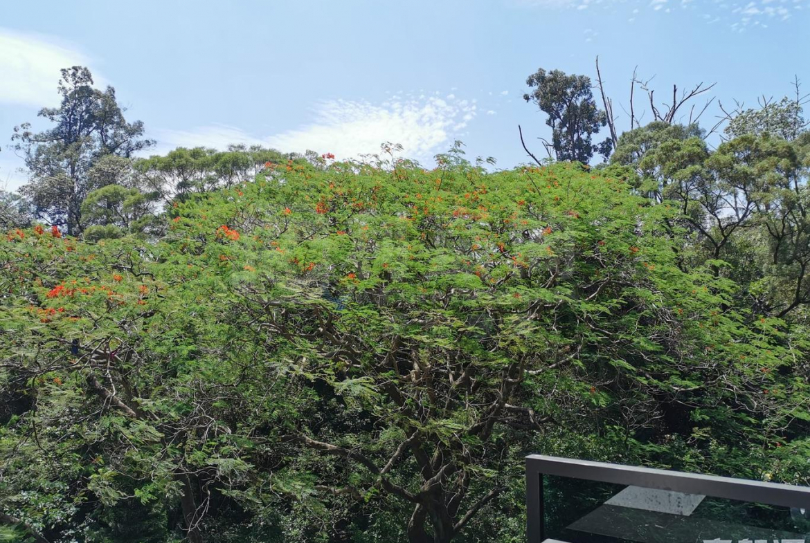 御半山 2期 2B座 - 28NTS – 香港北部都會區
