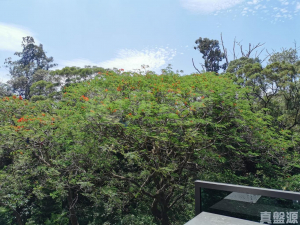 御半山 2期 2B座 - 28NTS – 香港北部都會區
