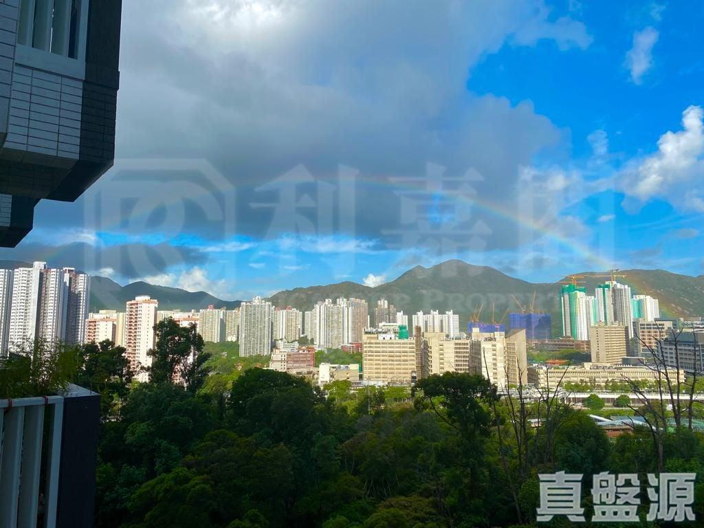御半山 2期 2B座 - 28NTS – 香港北部都會區