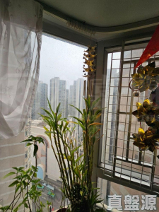 海灣花園 3座 - 28NTS – 香港北部都會區