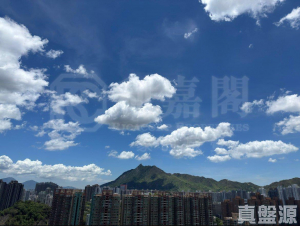 倚嶺南庭 - 28NTS – 香港北部都會區