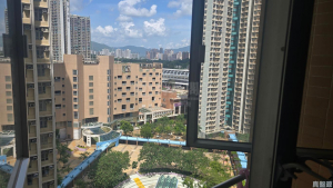 天盛苑 盛譽閣 (P座) - 28NTS – 香港北部都會區