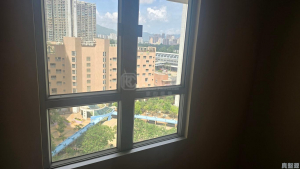天盛苑 盛譽閣 (P座) - 28NTS – 香港北部都會區