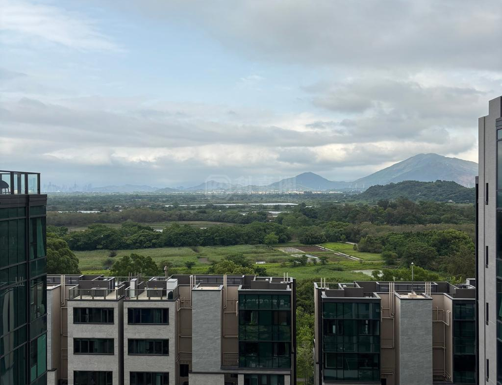 WETLAND SEASONS PARK 2期 12座 - 28NTS – 香港北部都會區