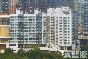 寶雲匯 9座 - 28NTS – 香港北部都會區
