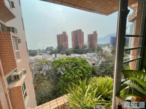 香港黃金海岸 1座 - 28NTS – 香港北部都會區