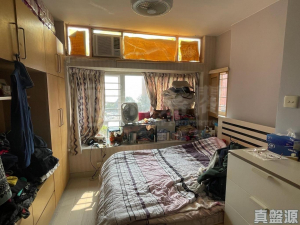 香港黃金海岸 1座 - 28NTS – 香港北部都會區