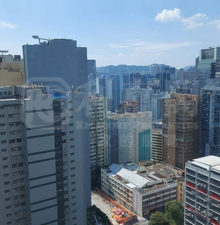 嘉翠園 1座 - 28NTS – 香港北部都會區