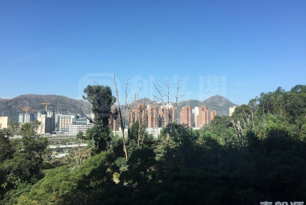 御半山 2期 2B座 - 28NTS – 香港北部都會區