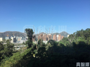 御半山 2期 2B座 - 28NTS – 香港北部都會區