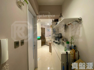 環宇海灣 1座 - 28NTS – 香港北部都會區
