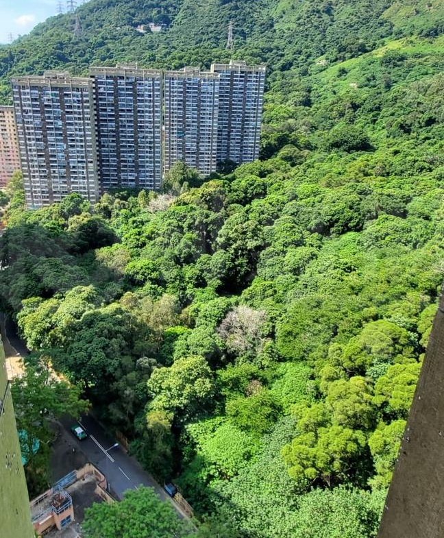 山景邨 景業樓 (7座) - 28NTS – 香港北部都會區