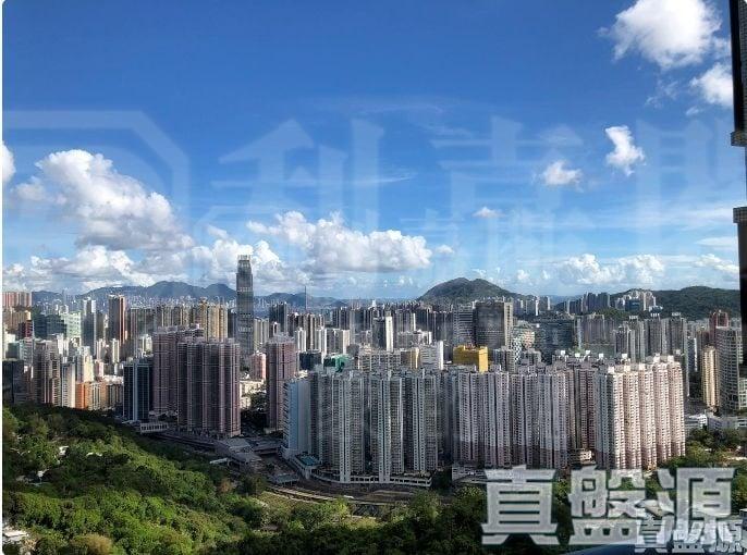 寶雲匯 1座 - 28NTS – 香港北部都會區