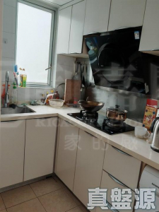 樂悠居 - 28NTS – 香港北部都會區
