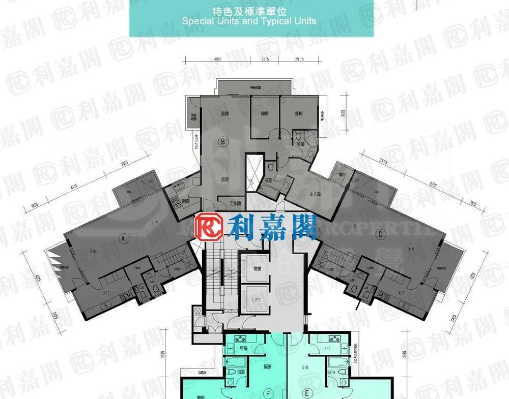 藍天海岸 4期 水藍‧天岸 5座 - 28NTS – 香港北部都會區