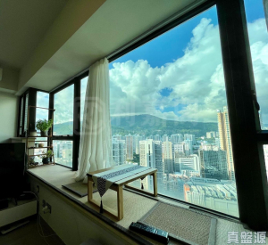 爵悅庭 北爵軒 (B2) - 28NTS – 香港北部都會區