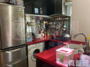 荃昌中心 昌寧大廈 - 28NTS – 香港北部都會區
