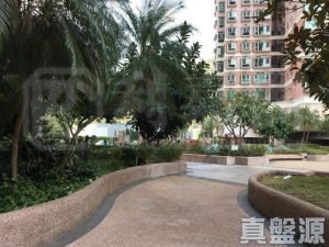 愉景新城 2期 6座 - 28NTS – 香港北部都會區