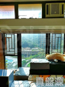 曉峰園 1座 - 28NTS – 香港北部都會區