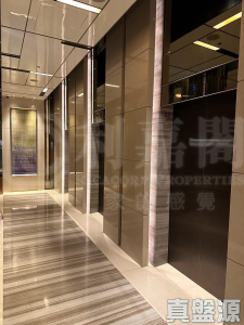東環 1期 6B座 - 28NTS – 香港北部都會區