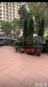 豫豐花園 8座 - 28NTS – 香港北部都會區